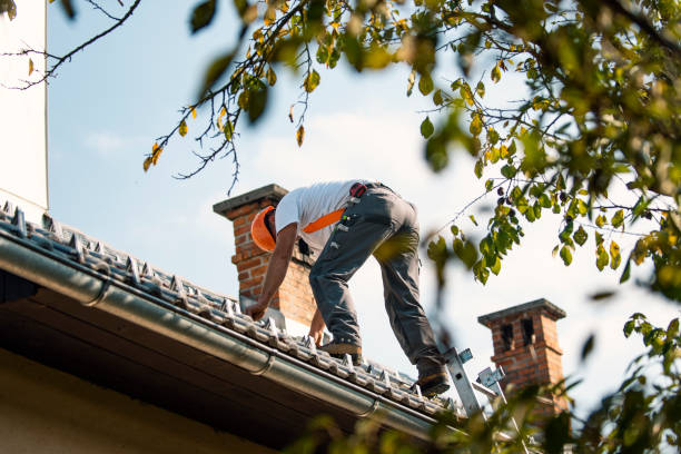 Roof Installation Near Me in Callender, CA