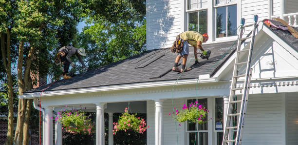 Best Roof Gutter Cleaning  in Llender, CA