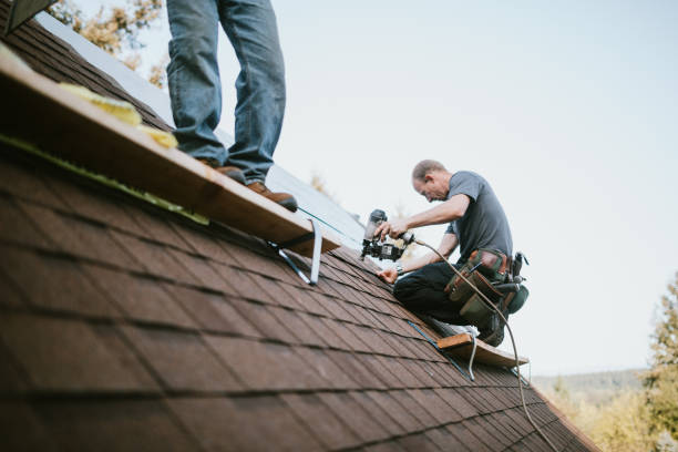Roof Gutter Cleaning in Callender, CA